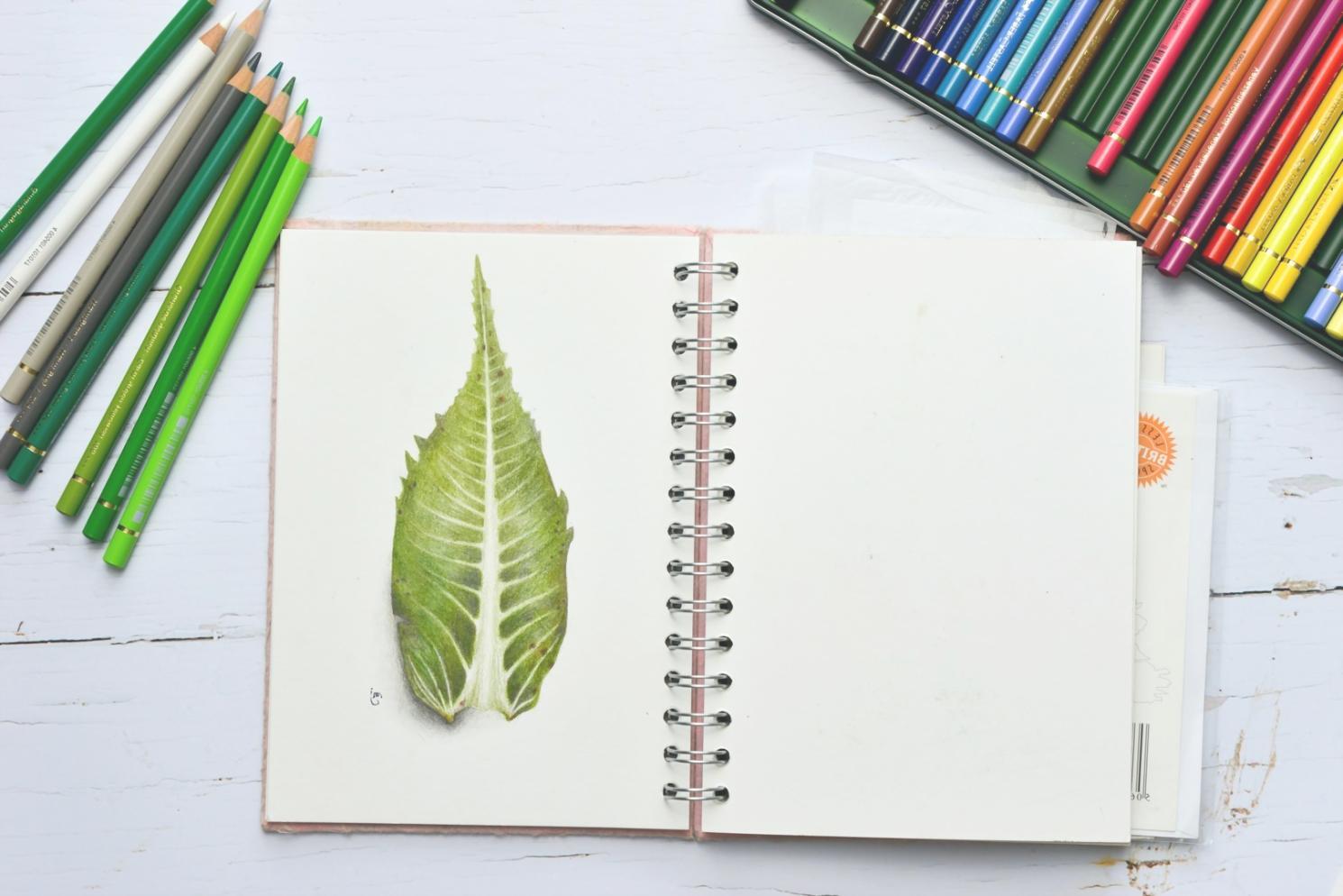 Aquarell-Arbeitsbeispiele aus dem Lernprogramm